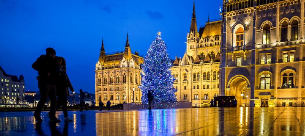 On Monday, the country’s Christmas tree – Danube Bend Region – will arrive in front of the Parliament